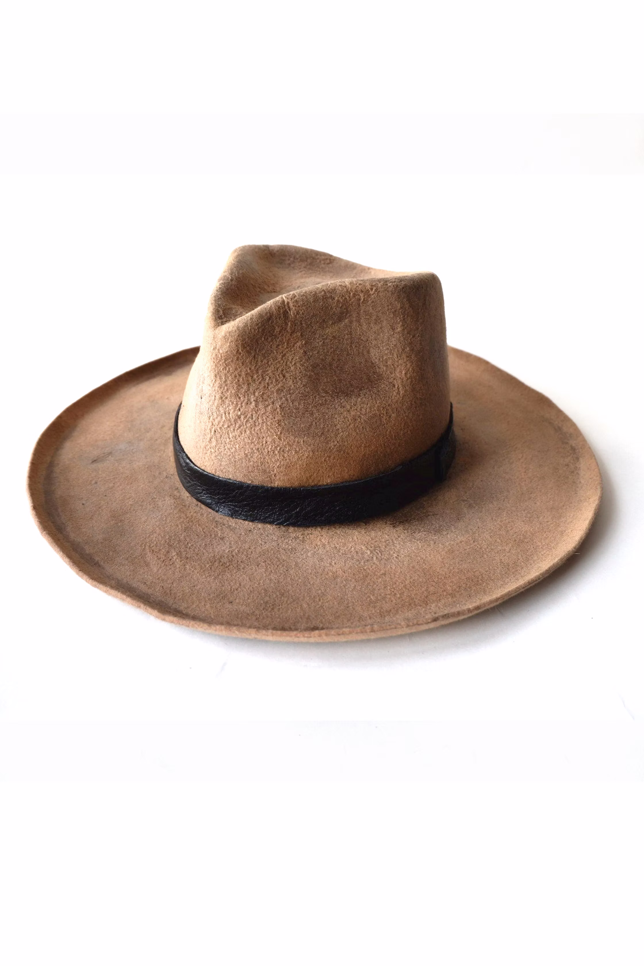  CAMEL FEDORA